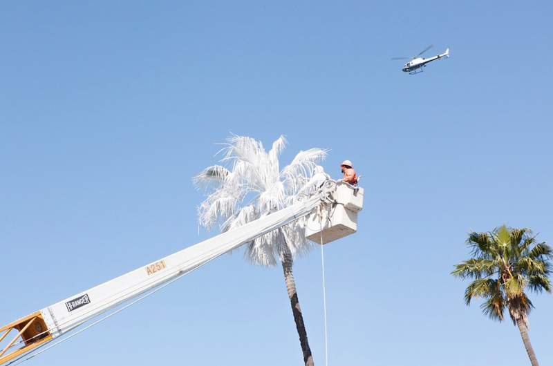 Illustration for article titled Why an Artist Totally Whitewashed This LA Motel—Palm Trees and All